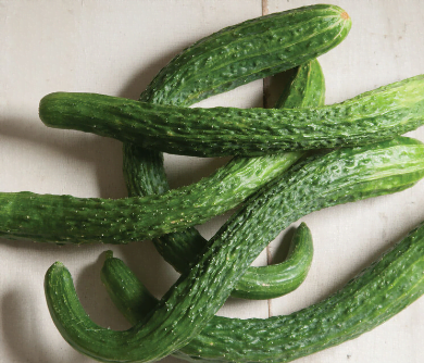 Japanese cucumbers