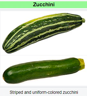 Striped and uniform-colored zucchini
