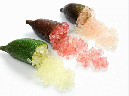 Different types of  finger lime