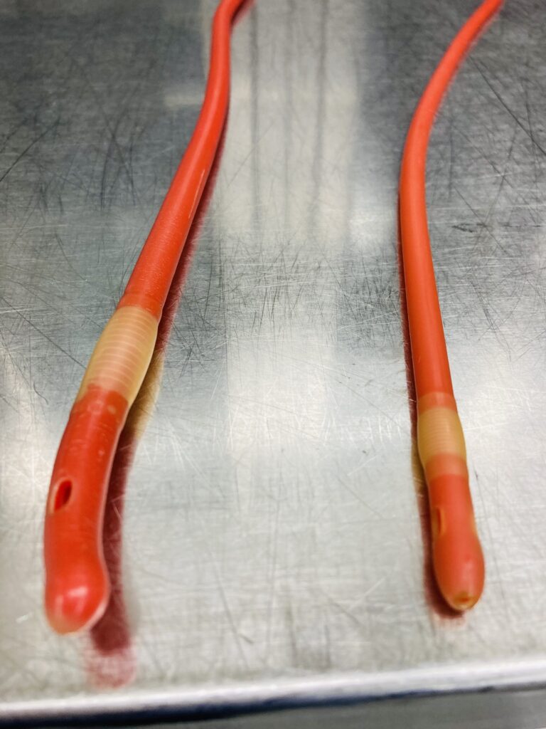 From left to right Coude Foley Catheter vs Council Tip Foley.