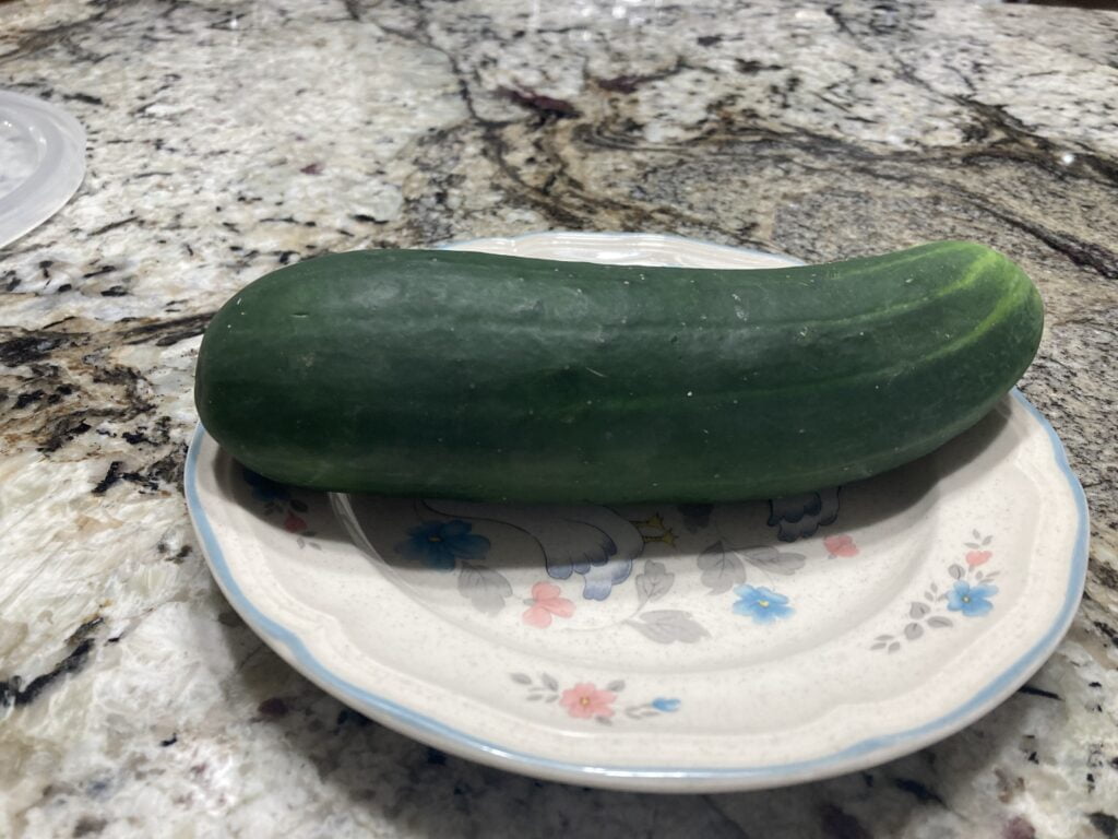 Cucumber on a plate