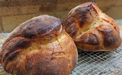 Pane di Altamura bread