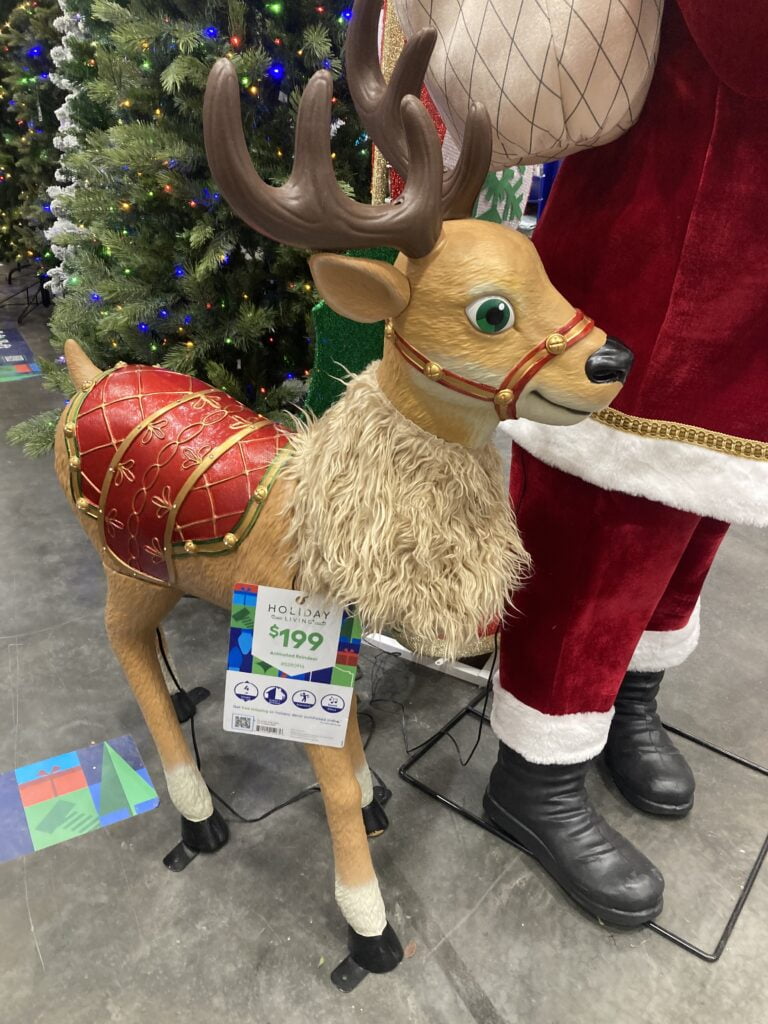 Reindeer with Santa