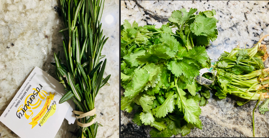 rosemary vs cilantro