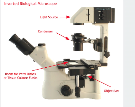 showing the basic components of an Inverted microscope