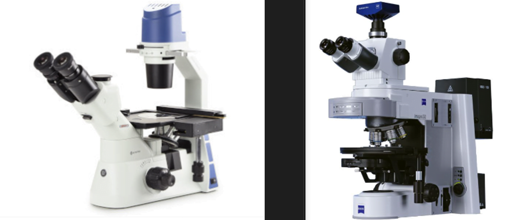 Inverted Microscope vs Upright Microscope