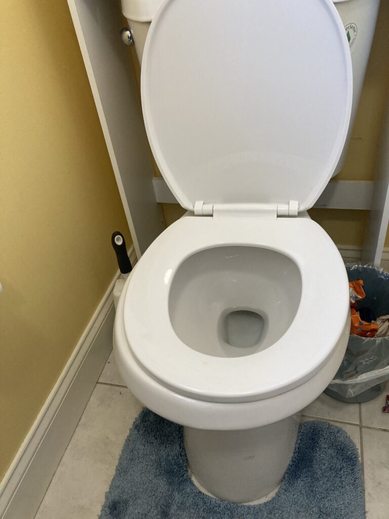 Bleach can be use to clean the toilet