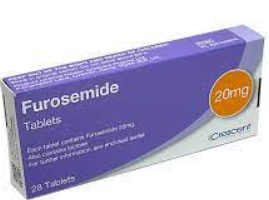 lasix/furosemide a diuretic